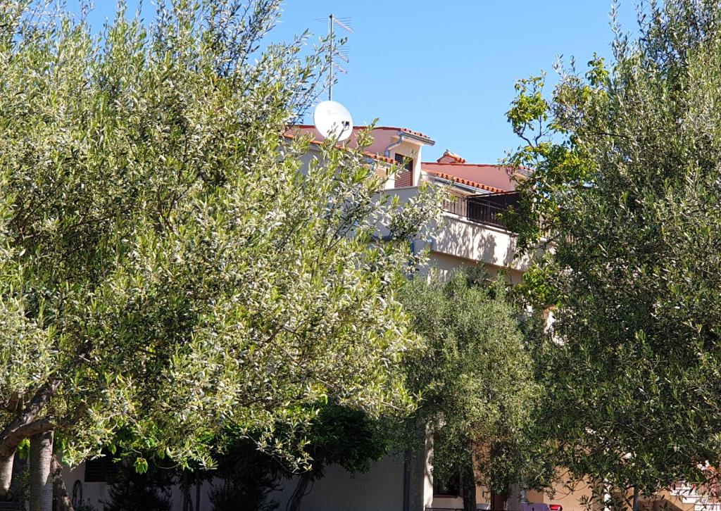 BOUTIQUE ROOMS Mare Fabulas photo 3