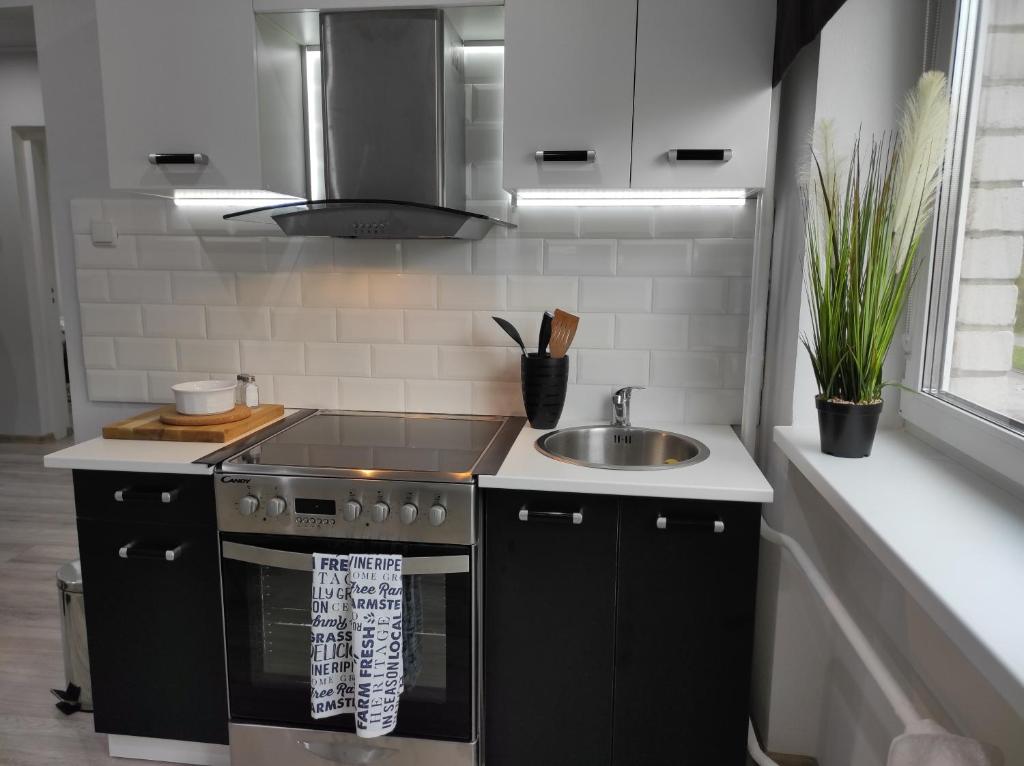 Hiiumaa Family Apartments photo 4