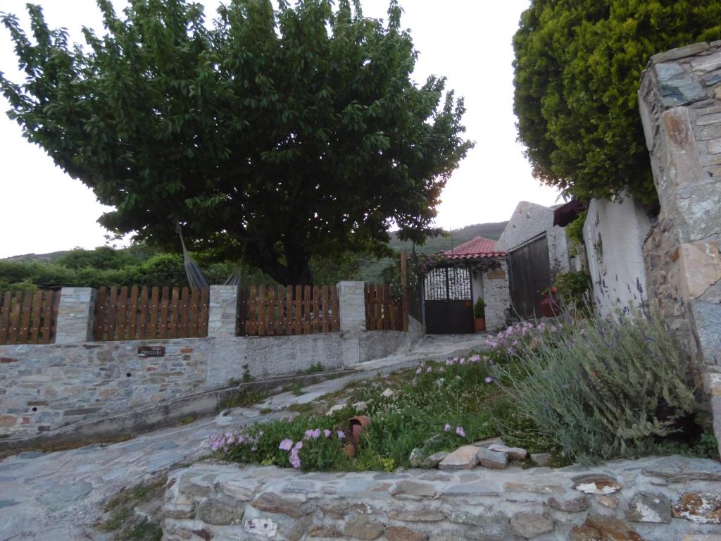 Villa Efrosini photo 2
