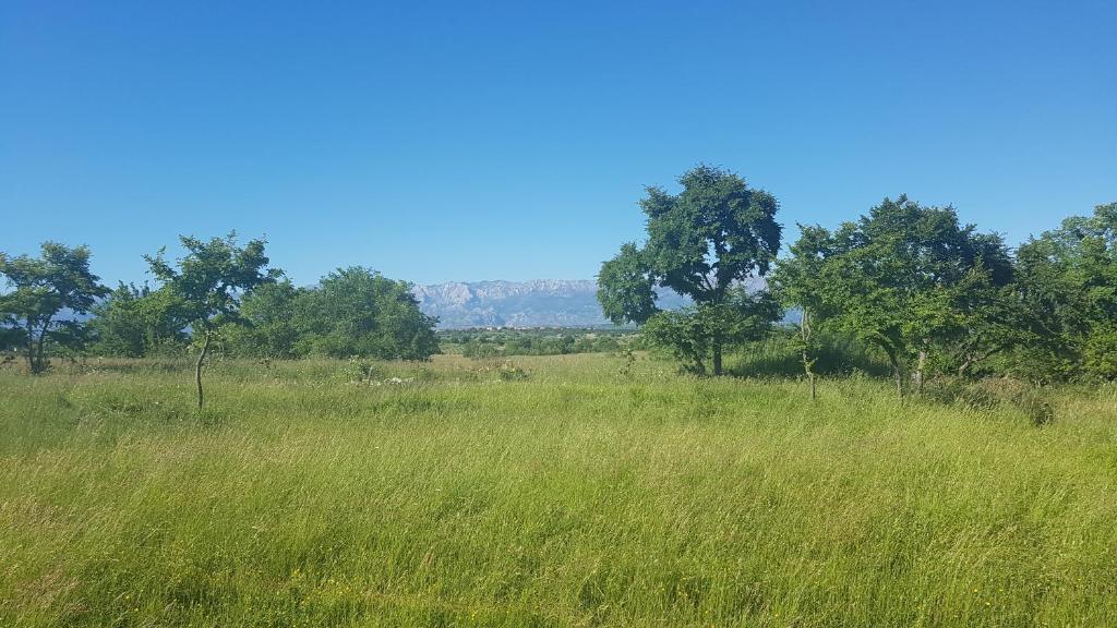 Savršen odmor u Villa Ivona photo 2