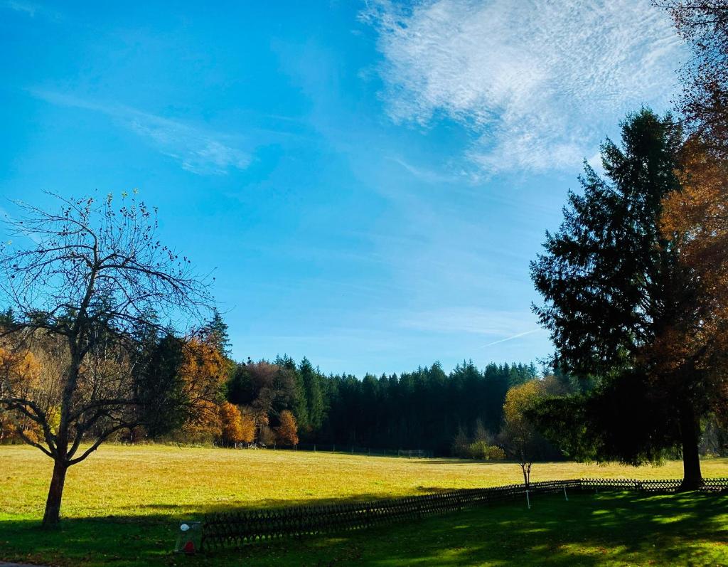 Waldgasthof zum Geländer photo 2