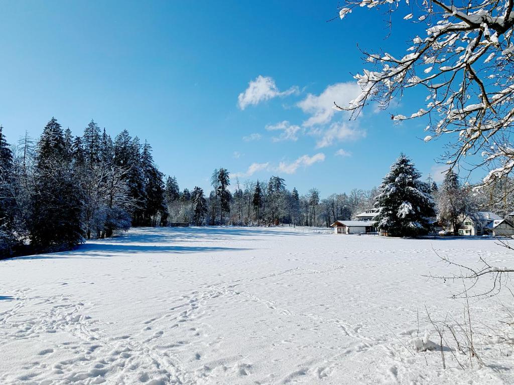 Waldgasthof zum Geländer photo 1
