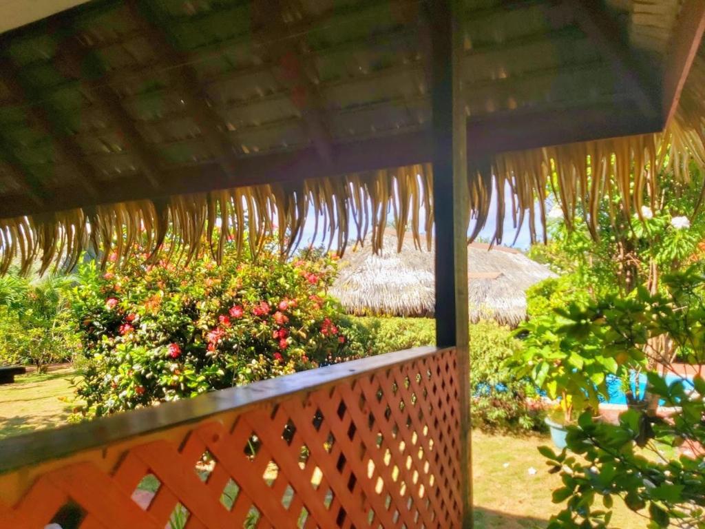 HUAHINE - Bungalow Ylang Ylang photo 2