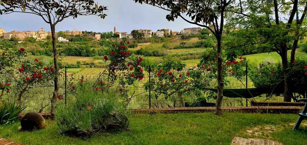 Casa Vacanze Land&Sea photo 1