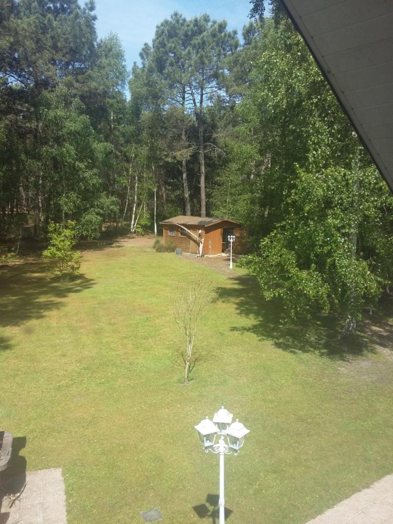 B&B La Forêt de Charmeuse photo 3