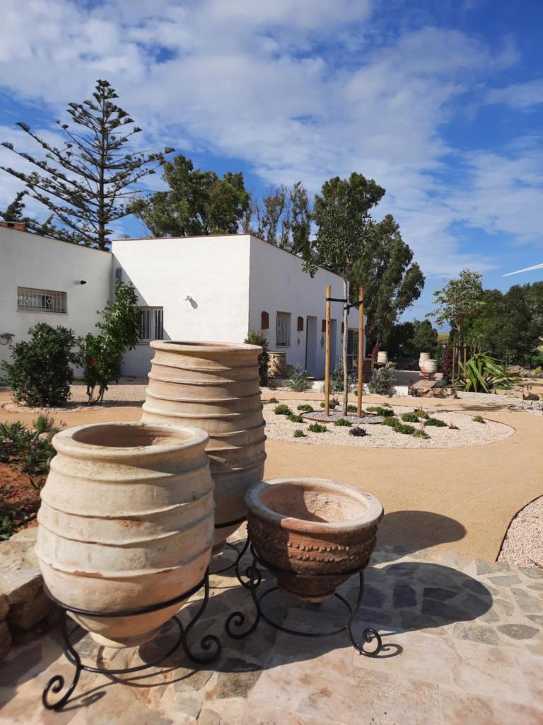 Milagro de Algar photo 3