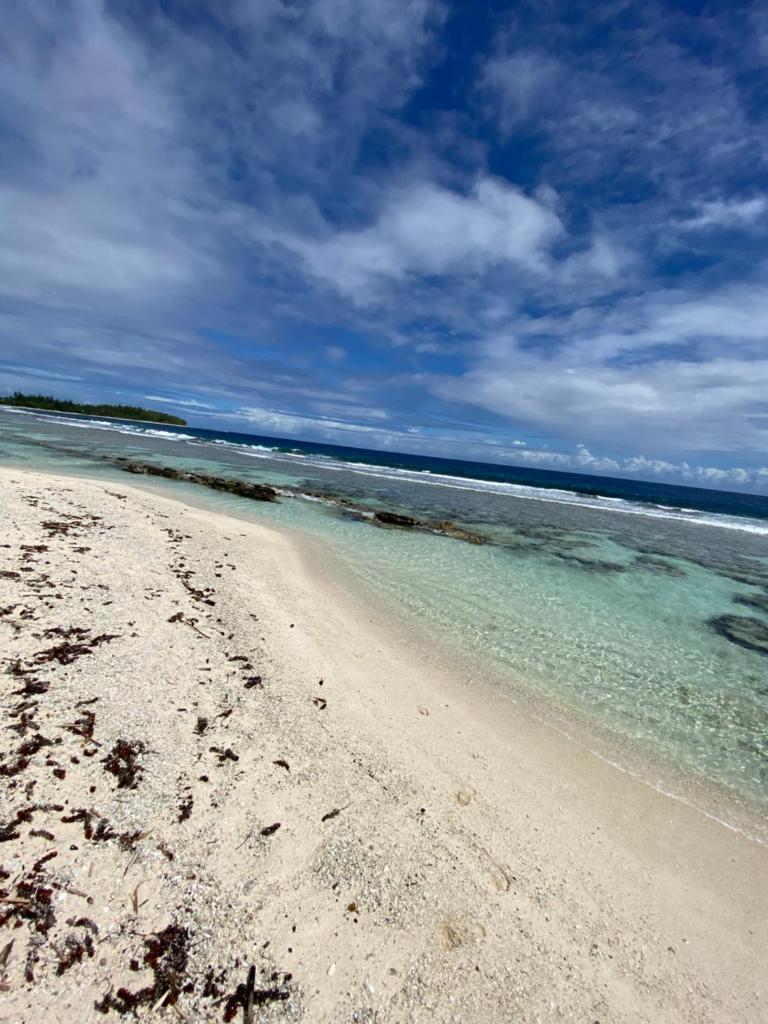 Moorea Chill House And Beach photo 3