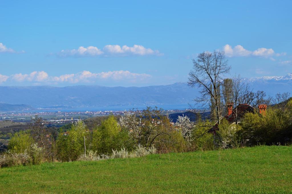 Macedonia, Accommodations,rentals"Villa Vevcani" Vevchani photo 4
