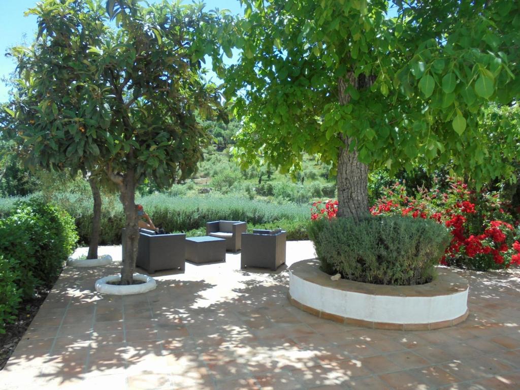 Betania photo 3