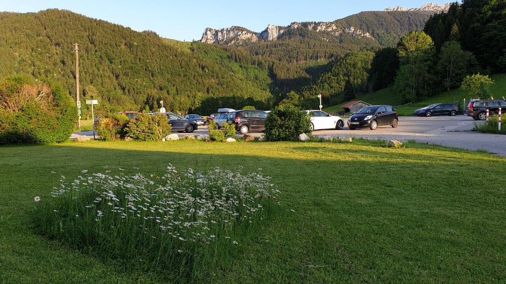 Gschwendtnerhof App13 Lincke photo 3