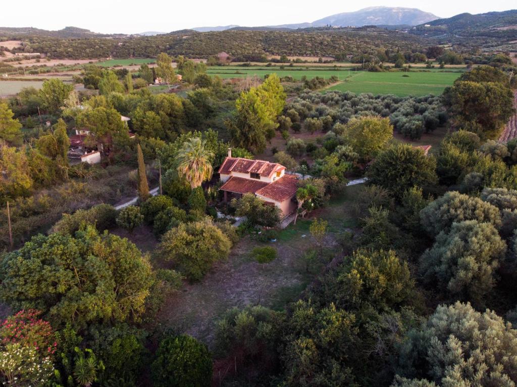 Villa Polytimi photo 3