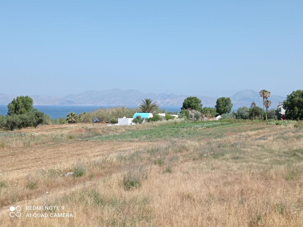 IASONAS APARTMENTS photo 4
