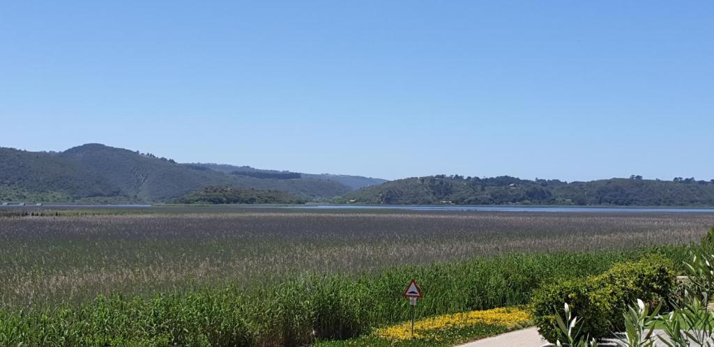 677 on Lake photo 1