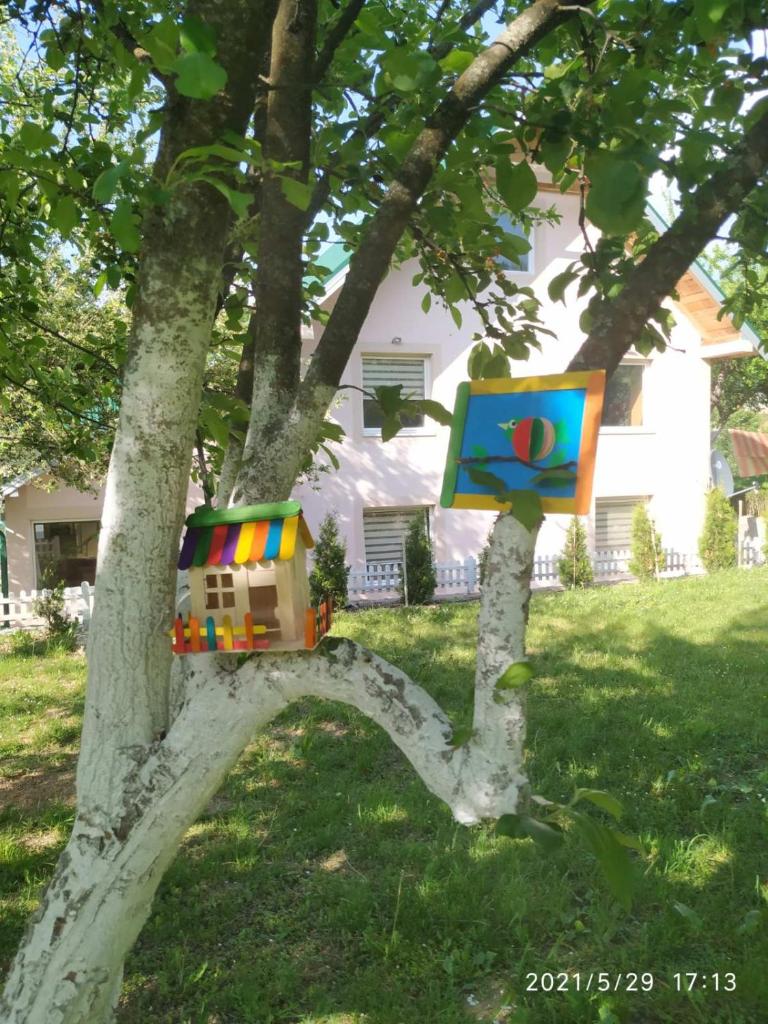 Apartments & Rooms Bojic photo 2