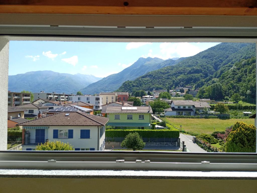 I viaggi del Lea photo 4
