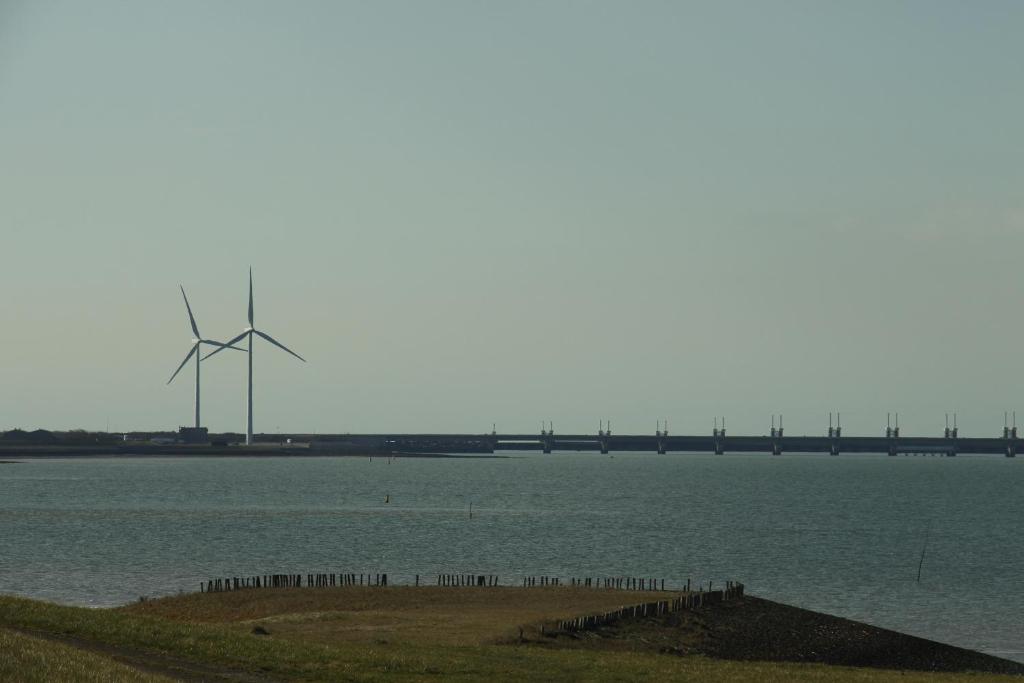 Zeeuwse Zot photo 3