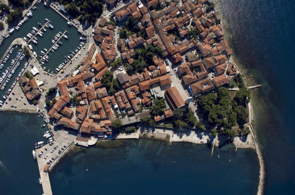 Apartments Novigrad (657) photo 1