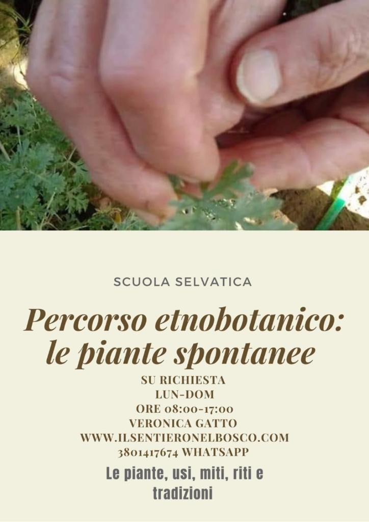 B&B Il Sentiero nel Bosco photo 4