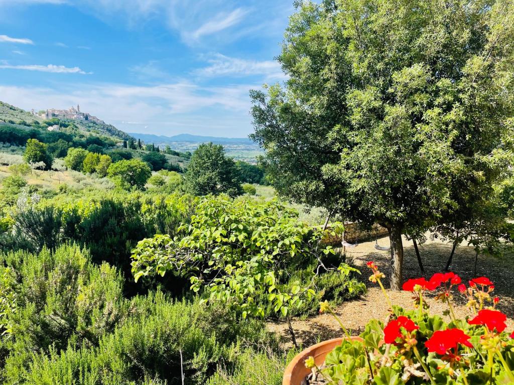 Agriturismo Residenza Paradiso photo 2