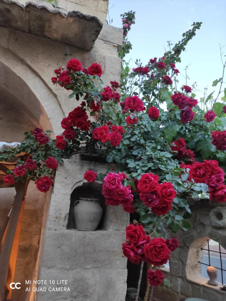 Kayhan Cave Villa photo 4