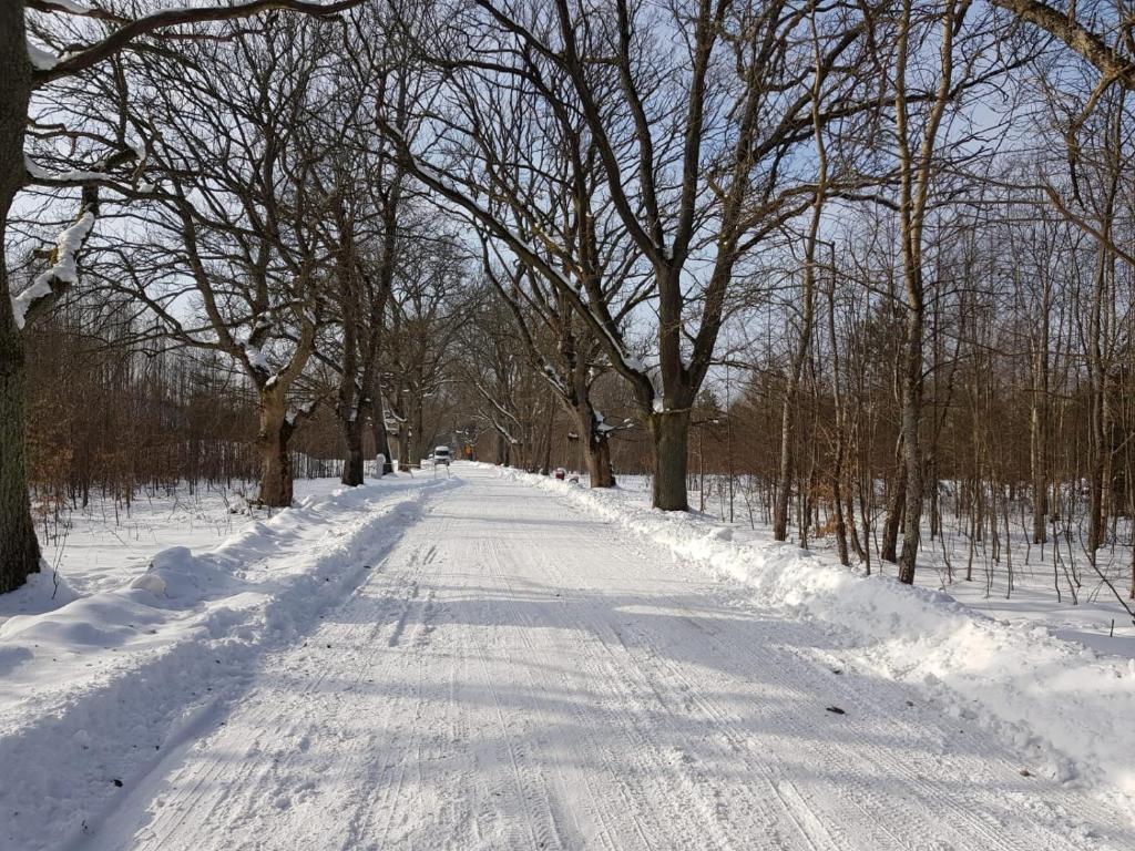 In Nature photo 3