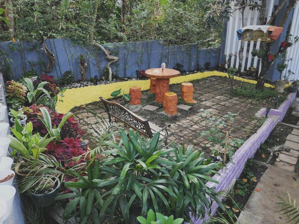 Purple Orchid Bed and Breakfast photo 3