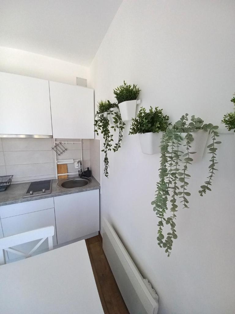 Apartman Kaćun - Divčibare photo 2