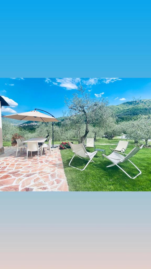 Casa vacanze gli ulivi photo 3
