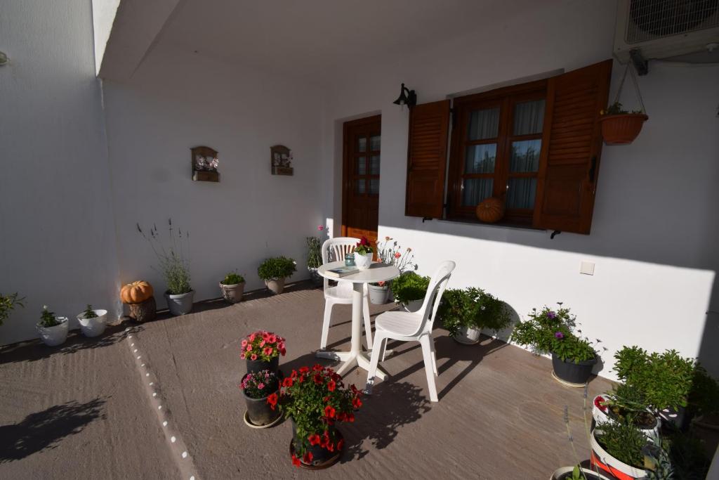 Katiana's House photo 1