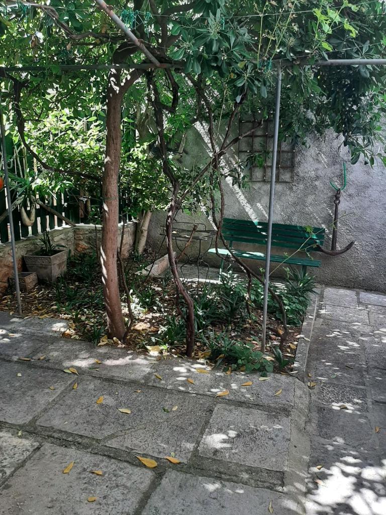 House Markovina photo 3
