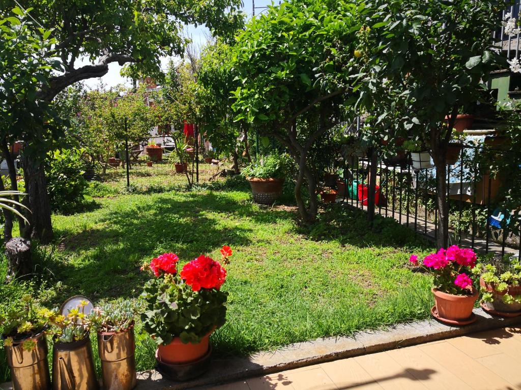 Il nido dei Gabbiani photo 1