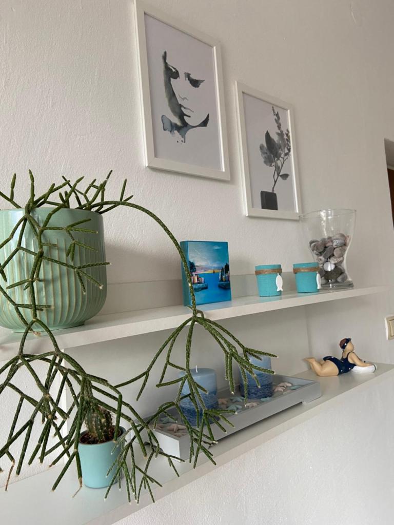 Apartment Andreja photo 4