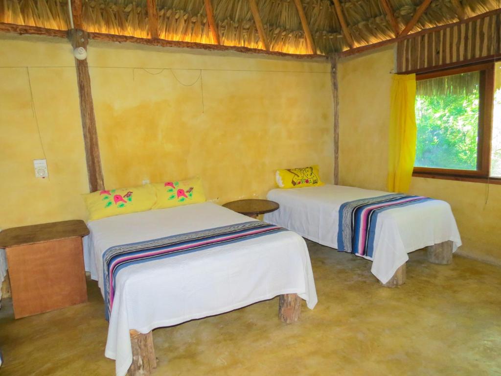 Cabañas Calakmul photo 3