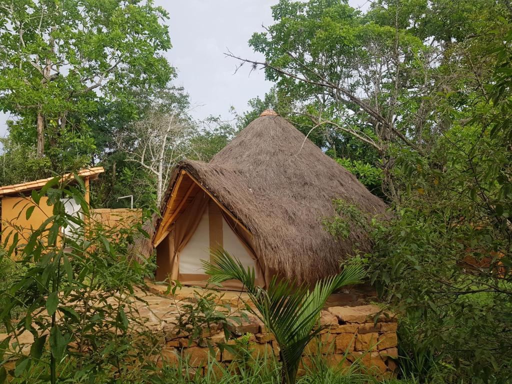 Nativo Glamping photo 1