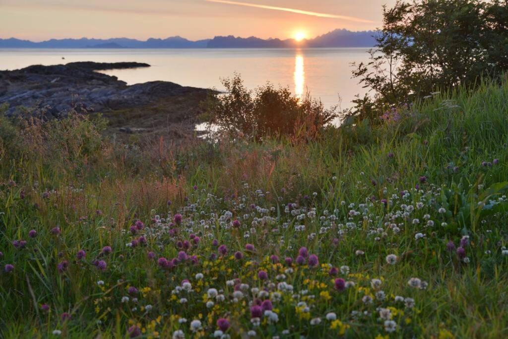 Ro i Steigen photo 4