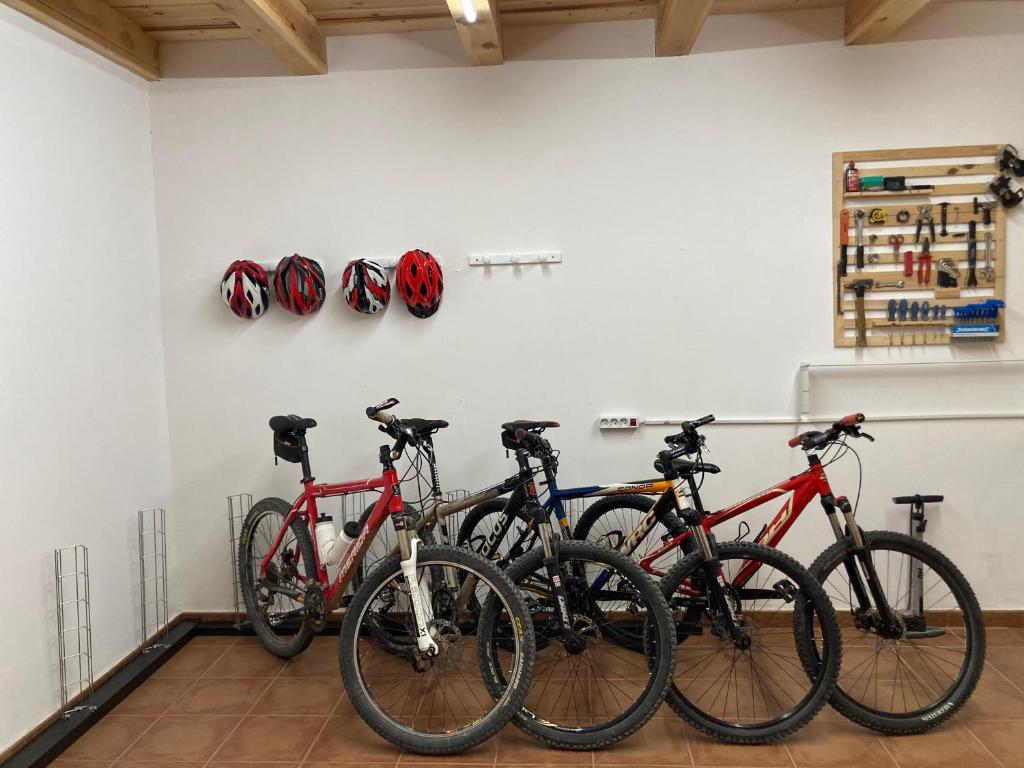La bicicleta del Moncayo photo 4