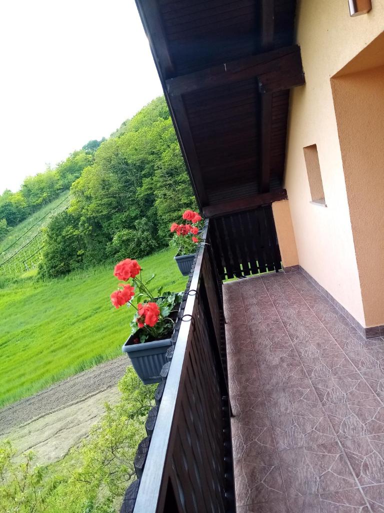 Apartman 2 photo 3