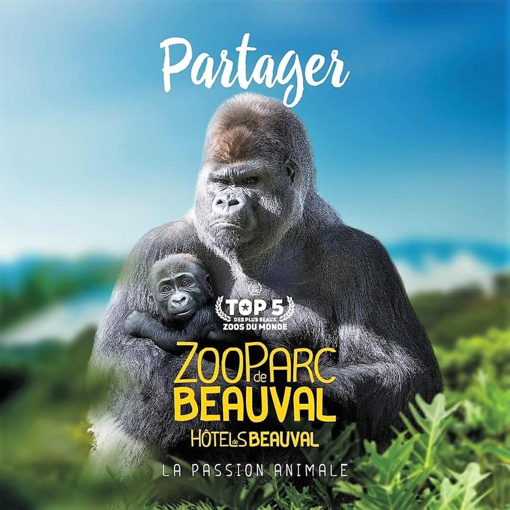 Les Bruyères de Jeanne et René Zoo de Beauval à 20min,Châteaux TOUT INCLUS photo 2