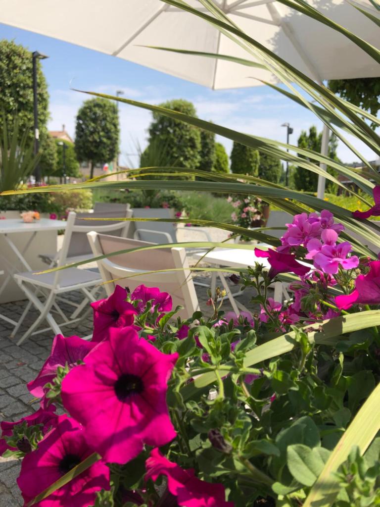 Apart-Hotel la Rocchetta photo 2