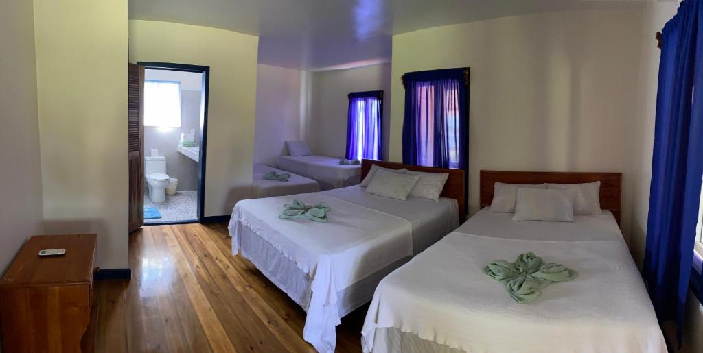 Coral View Beach Resort photo 4