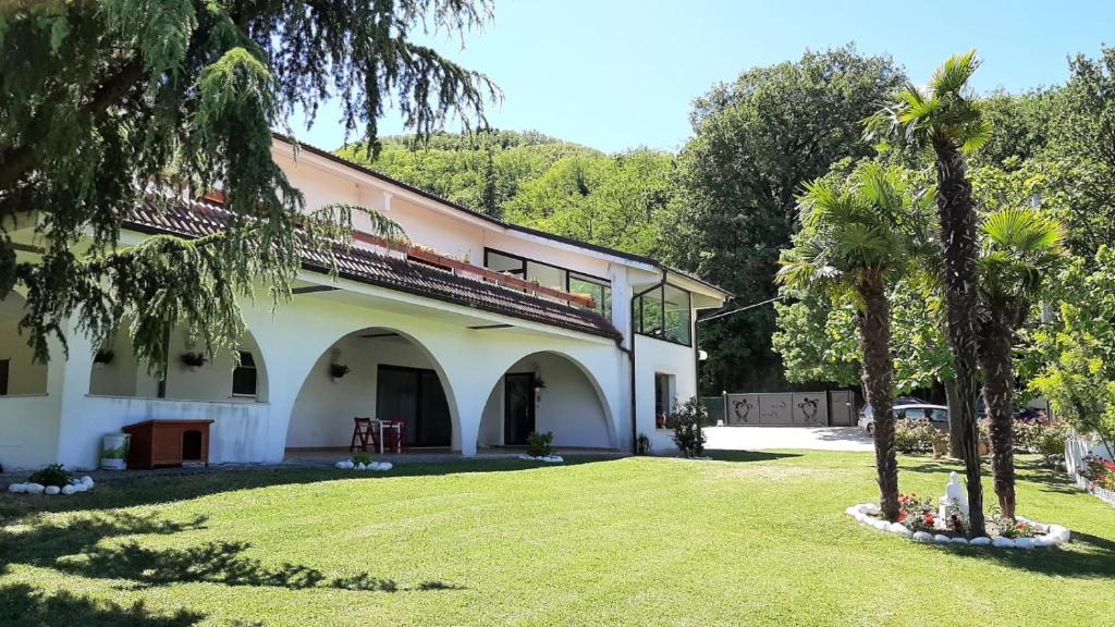 Cara Pace in collina per gruppi photo 4