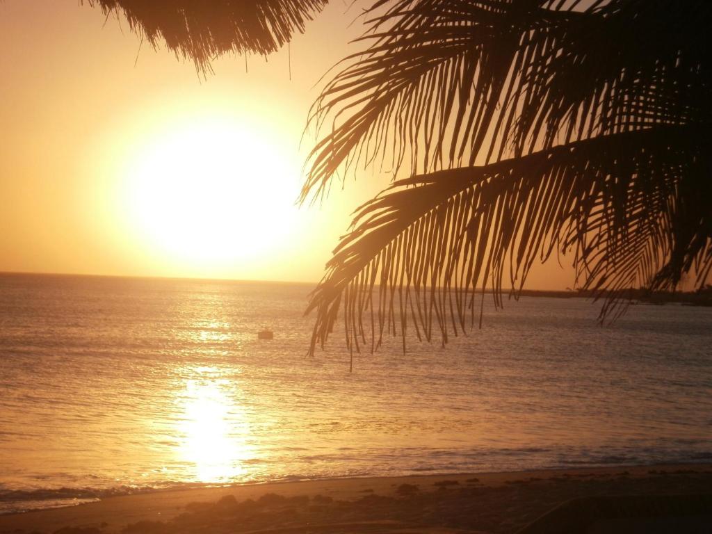 Keur Karim sarr photo 4