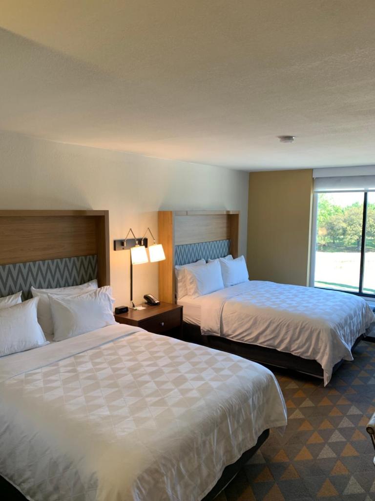 Holiday Inn Baton Rouge-South, an IHG Hotel photo 3