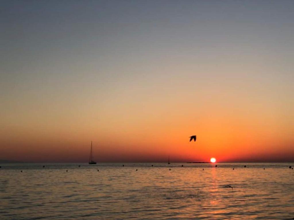Antibes Seaside one room studio in Salis Beach