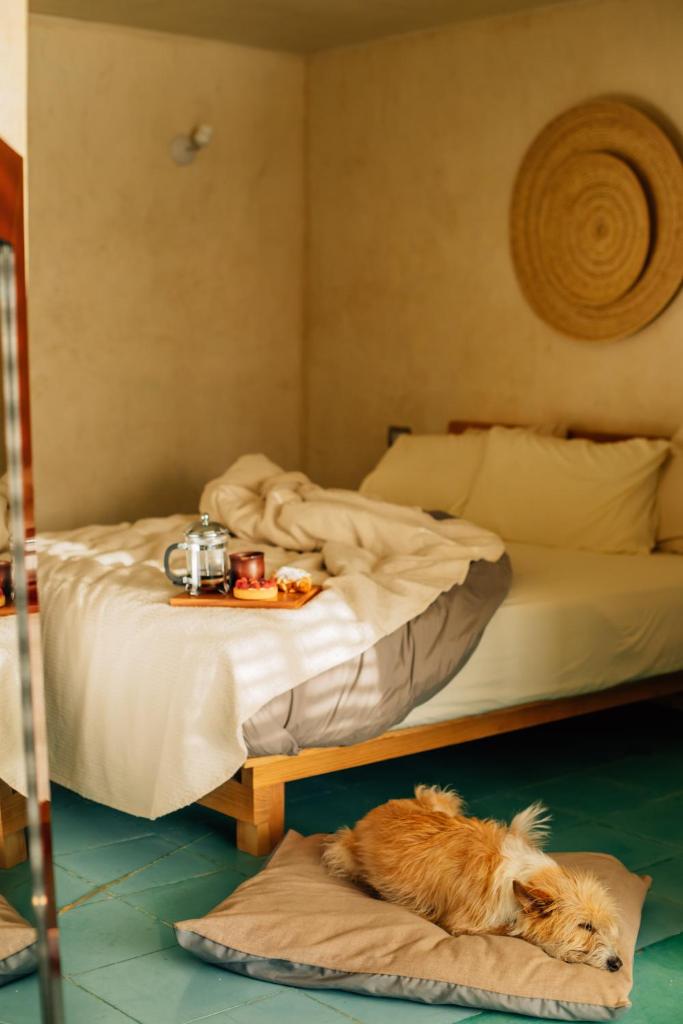 Boulenc Bed and Bread photo 3