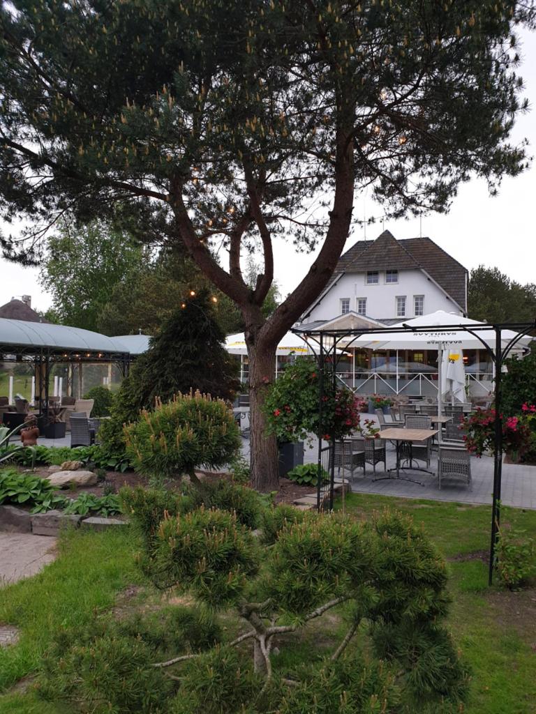 Vienkiemis photo 2
