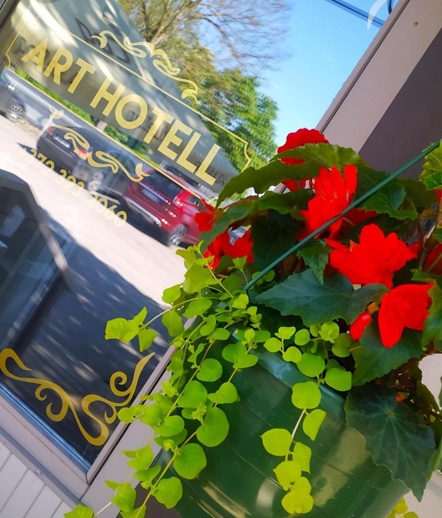 Art Hotell photo 2