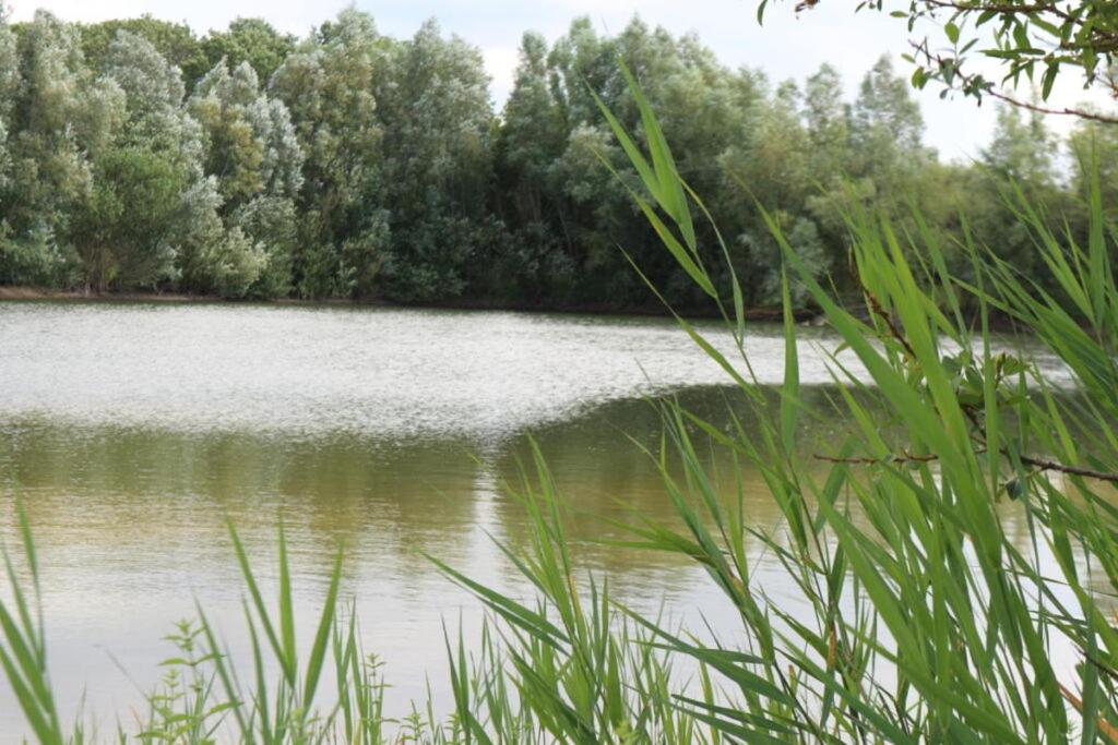 Pipowagen Jasmijn bij Pipowagen en kampeerhoeve s Gravenhof photo 4
