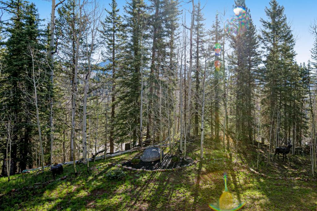 Cascade 347 photo 2