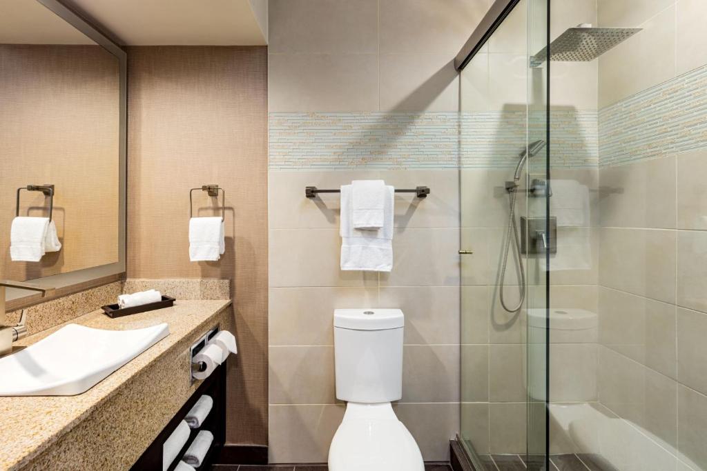 Двухместный (Номер Делюкс с кроватью размера «king-size»), E Central Hotel Downtown Los Angeles